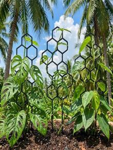 2pcs 14.96x5.91 Inch Honeycomb Plant Trellis, Rust-Resistant Design, Suitable For Potted Vines And Flowers, Space-Saving Indoor/Outdoor Garden Support - Honeycomb - View 8