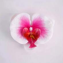 5朵大型3D打印亮面质感蝴蝶兰花头，适用于婚礼和家居装饰、DIY发饰、手工花艺仿真花 - 彩色 - 查看 6