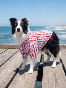 夏季狗狗休闲衬衫 - 透气轻便的狗狗夏季服装，适合小型、中型和大型犬，全印花狗狗服装 - 彩色 - 查看 6