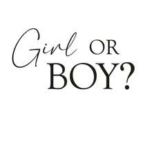 Gender Reveal Wall Decals, Decorative Removable Stickers For Party Background, Gender Reveal Party Decor - Brown - View 17