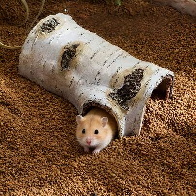 Artificial Tree Hole Decor, Simulated Tree Hole Toy, Suitable For Hamsters, Mice, Reptiles And Other Small Pets Habitat Decoration