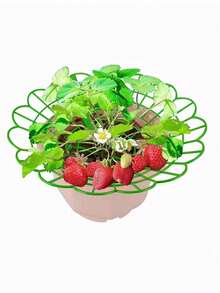 5 cái giá đỡ dâu tây mới, khung trồng dâu tây, giá đỡ hoa hướng dương, dụng cụ trồng dâu tây trong chậu, giá đỡ trái cây chống thối rữa, giá đựng trái cây - Nhiều màu - Xem 5