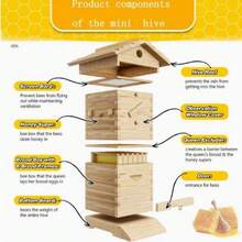 10X Auto Honey Hive Beehive Frames + Beekeeping Brood MINI 2 Layer Box House - mặc định - Xem 7