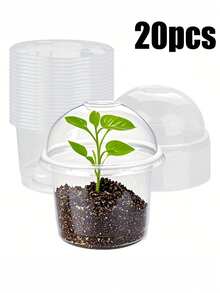 10/15/20个装透明塑料育苗盆，带保湿罩，耐用塑料园艺盆，小型种植容器，可重复使用的种子萌发盆，带透气盖，迷你植物繁殖器套装，适用于幼苗、多肉植物、扦插、园艺和室内植物生长 - 均碼 - 查看 10