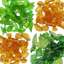 1包绿色亚克力叶子珠子透明枫叶吊坠小绿叶珠帽，用于珠宝制作DIY春季工艺品耳环手链 - 綠色 - 查看 10