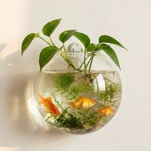 1pc Transparent Circular Wall-Mounted Vase, Acrylic Material Indoor/Outdoor Planter And Aquarium, Creative Wall-Hanging Fish Tank, Dual-Purpose Hydroponics Fish Tank With Plant Holder, Space-Saving Decorative Bottle, Suitable For Office Decor, Indoor And Outdoor Use - Transparent Vase - View 2