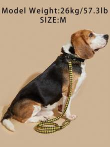 1pc Polyester Material Fresh Pattern Pet Leash, Suitable For Small Cats And Dogs Outdoor Use (Not Suitable For Large Active Dogs) - Yellow - View 4