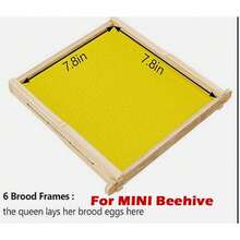 10 X Upgraded Auto Honey MIni Beehive Bee Hive Frames + Beekeeping Brood Fir Box - mặc định - Xem 6