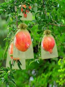 50/100/20/5pcs Fruit Protection Net Bags - Lightweight Hanging Garden Net, For Pest Control - Outdoor And Indoor Use Modern Style Net Bags, With Multiple Components, Suitable For Grapes, Strawberries, Etc. - Organza Bags - View 6