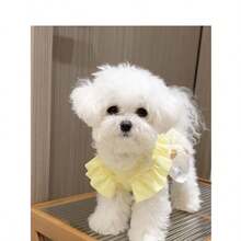 新款宠物狗猫公主裙，适合泰迪犬、博美犬、马尔济斯犬、比熊犬等。 - 黃色 - 查看 8