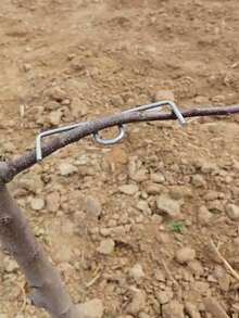 Bộ 10 dụng cụ uốn cành cây ăn quả - Kéo tỉa cành hình chữ M, dụng cụ tạo hình cành kiểu mới, dụng cụ làm vườn bằng kim loại để tạo hình và uốn nắn cành cây. - loại m - Xem 4