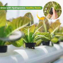 10/20pcs 2-Inch Hydroponic Net Pots, Reusable Thickened Wide-Rim Round Planting Baskets For Hydroponics - A - View 5