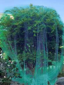 1包可重复使用的花园防鸟网，植物屏障网，用于保护果树、植物免受鸟类、蝉、松鼠、啮齿动物的侵害 - 多色 - 查看 2
