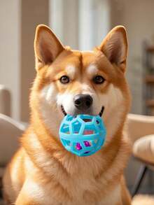 互动式狗狗益智玩具，耐啃咬TPR空心设计，带响珠，猫狗自娱自乐玩具，宠物用品 - 彩色 - 查看 4