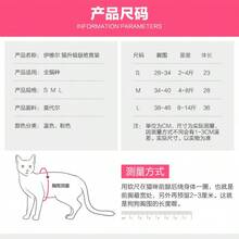 女士猫咪绝育术后恢复服，透气弹力，适合断奶后恢复期，宠物绝育服，猫咪康复服 - 粉色 - 查看 4