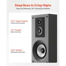 Amplificateurs audio - 3-Wege-System mit 1,91 cm et 2,54 cm Hochtöner - Voir 3