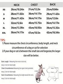 Sphynx Hairless Cat Printed Zip-Up Jacket, Windproof Warm Fashionable Pet Clothes - Blue - View 5