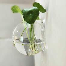 1pc Transparent Circular Wall-Mounted Vase, Acrylic Material Indoor/Outdoor Planter And Aquarium, Creative Wall-Hanging Fish Tank, Dual-Purpose Hydroponics Fish Tank With Plant Holder, Space-Saving Decorative Bottle, Suitable For Office Decor, Indoor And Outdoor Use - Transparent Vase - View 7