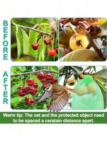 Red de jardín reutilizable, barrera de plantas para proteger árboles frutales, plantas de pájaros, cigarras, ardillas y roedores - Multicolor - Ver 8