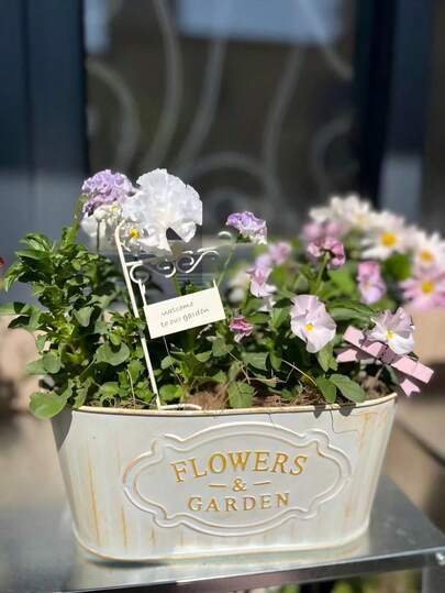 1/2/3/4个复古铁艺花盆，可拆卸悬挂设计，适用于花园、庭院、阳台、厨房，是家居和园艺装饰的绝佳选择。