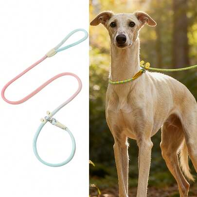 Orta ve büyük boy köpekler için yüksek yoğunluklu naylon köpek tasması, dönebilen toka tasarımı, bükülmeyi önleyici özellik, evcil hayvan eğitimi ve yürüyüşü için uygundur.