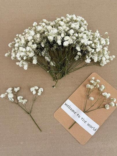 20/50/100/300pcs Mini Baby's Breath & Other Dried Flowers - For Resin Mold Art & Crafts, Ivory White Bouquet For Hair Accessories, Wedding Wreaths, Table Decor, Home Decoration