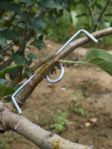 Bộ 10 dụng cụ uốn cành cây ăn quả - Kéo tỉa cành hình chữ M, dụng cụ tạo hình cành kiểu mới, dụng cụ làm vườn bằng kim loại để tạo hình và uốn nắn cành cây. - loại m - Xem 2