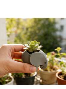 1个迷你大象造型多肉植物花盆，带排水孔 - 3D打印小仙人掌盆，适用于桌面、书架、阳台/户外，耐用塑料花盆架，抛光不对称造型，家居办公装饰礼品 - 大象造型 - 查看 2