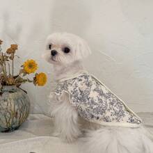 透气纱布宠物服装，小型犬猫修身休闲装，春夏款 - 水鴨藍 - 查看 3