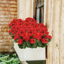 1/2/4 chiếc Hoa phong lữ giả lớn 14 inch, hoa nhựa màu tím dùng trang trí nhà cửa, đám cưới, nhà bếp, sân vườn, bàn tiệc, trong nhà và ngoài trời, cây giả, trang trí phòng, trang trí mùa thu, vật trang trí trung tâm. - Đỏ - Xem 6