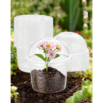 Bộ 10/15/20 chậu ươm cây bằng nhựa trong suốt có nắp giữ ẩm, chậu trồng cây bằng nhựa bền, chậu trồng cây nhỏ, chậu ươm hạt tái sử dụng có nắp thông gió, bộ dụng cụ ươm cây mini cho cây con, cây mọng nước, cành giâm, làm vườn và trồng cây trong nhà.