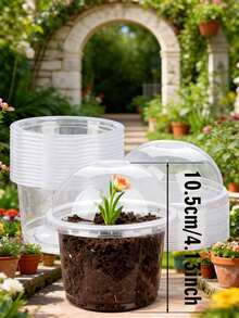 10/15/20个装透明塑料育苗盆，带保湿罩，耐用塑料园艺盆，小型种植容器，可重复使用的种子萌发盆，带透气盖，迷你植物繁殖器套装，适用于幼苗、多肉植物、扦插、园艺和室内植物生长 - 均碼 - 查看 4