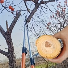 Kéo cắt cành chịu lực có thể kéo dài từ 68,58 - 101,6 cm, khả năng cắt và làm sạch từ 3,2-2,86 cm, dụng cụ làm vườn, kéo cắt cành dày, kéo cắt cành dạng ống lồng có thể điều chỉnh kèm lưỡi thay thế SK5. - C-cam - Xem 5