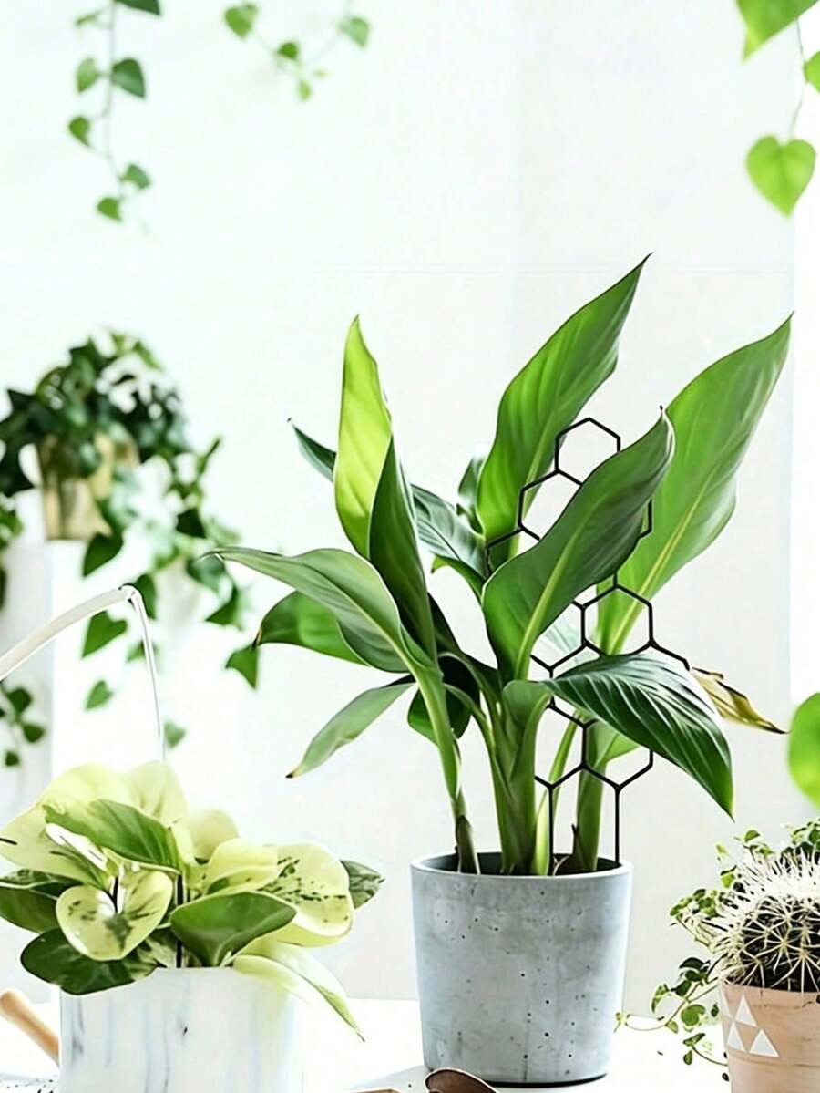 塑料植物支撑杆,适用于植物造型,室内外植物支撑柱,绿色植物支架,适用于盆栽番茄、牡丹、百合、玫瑰等植物、花卉、蔬菜。 - 多色 - 查看 1