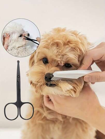 Stainless Steel Round-Tip Pet Grooming Scissors, Suitable For Dogs & Cats, Easy To Clean And Remove Tear Stains, Available In Silver And Black - Designed Specifically For Pets