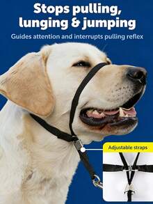 Gentle Leader Head Collar - Helps Improve Walking - Durable Nylon Construction - Padded Nose Loop - Adjustable Fit - Comfortable Walk-In Neck - Black - View 4