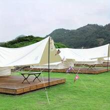 20 chiếc kẹp lều hình cá sấu mini, khóa dây chống gió cho cắm trại ngoài trời, phụ kiện lều di động, khóa cố định chống gió, dụng cụ ngoài trời, đồ dùng cắm trại ngoài trời, khóa dây chống gió che nắng nhẹ và di động. - Nhiều màu - Xem 2