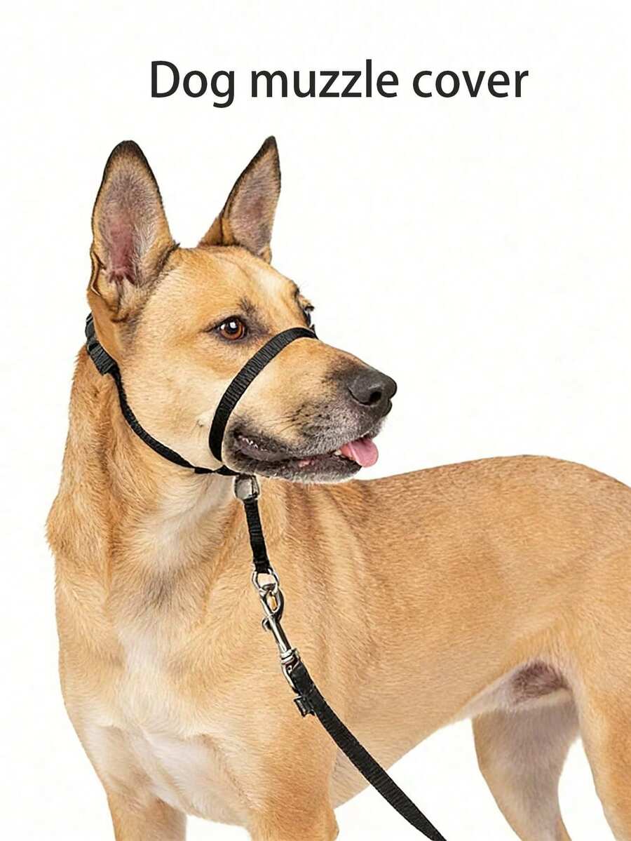 Gentle Leader Head Collar - Helps Improve Walking - Durable Nylon Construction - Padded Nose Loop - Adjustable Fit - Comfortable Walk-In Neck - Black - View 1