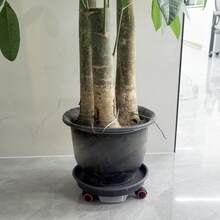 Khay chậu hoa di động có bánh xe đa năng, giá đỡ cây trồng chịu lực cao, đế bánh xe đa năng bằng nhựa, đế tròn dày, chậu hoa nhựa có thể tháo rời kèm hộp đựng nước, khay di động - nhiều màu - Xem 10