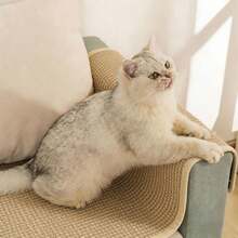 1 st klösmatta för katter, klösplatta, skyddar matta och soffa, tillbehör till husdjursmöbler, modernt husdjurstillbehör, hållbart husdjursprodukt - Multifärgad - Visa 3