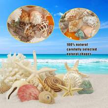 Túi 50g/100g/200g vỏ sò mini nhiều màu sắc hỗn hợp - 12 kiểu dáng độc đáo, thích hợp cho đồ thủ công DIY, sổ lưu niệm, trang trí chai trôi và bể cá, quà tặng sinh nhật & tốt nghiệp. (Sản phẩm tự nhiên, có thể hơi khác so với hình ảnh, có thể có một số hư hỏng nhỏ và bong tróc) - Ngẫu nhiên (màu ngẫu nhiên) - Xem 8