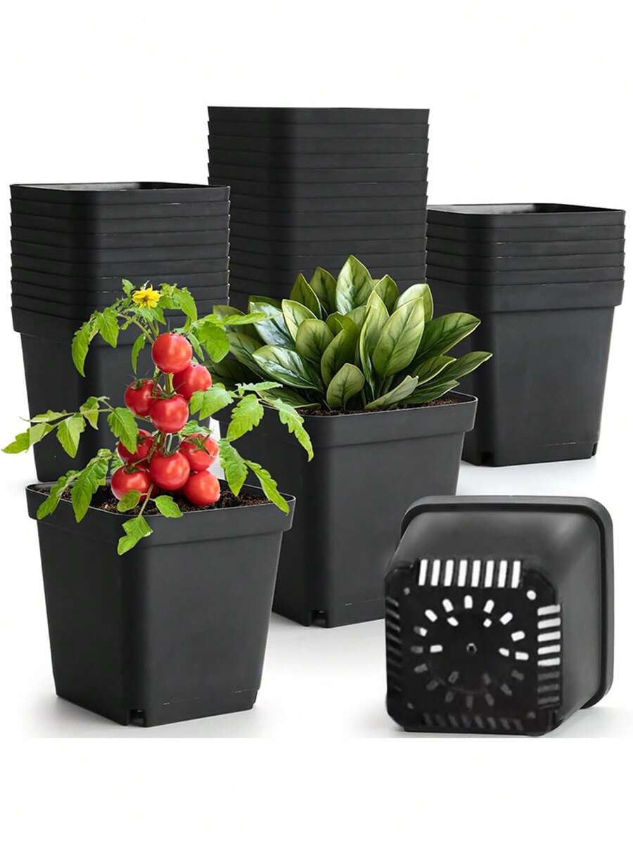 10/20/50个装方形植物播种种植杯塑料深盆苗圃树盆花卉植物容器盆栽花园种植 - 多色 - 查看 1