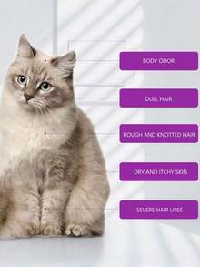 宠物洗发水，有助于缓解皮肤瘙痒，使毛发柔软顺滑不打结 - 1pc - 查看 5