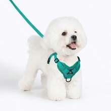 3件套宠物户外旅行套装，小型犬胸背带牵引绳拾便袋，必备遛狗胸背带 - 彩色 - 查看 9
