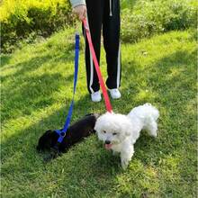 1条狗狗安全带，用于汽车旅行时固定宠物，宠物牵引带，狗狗车载安全带 - 彩色 - 查看 7