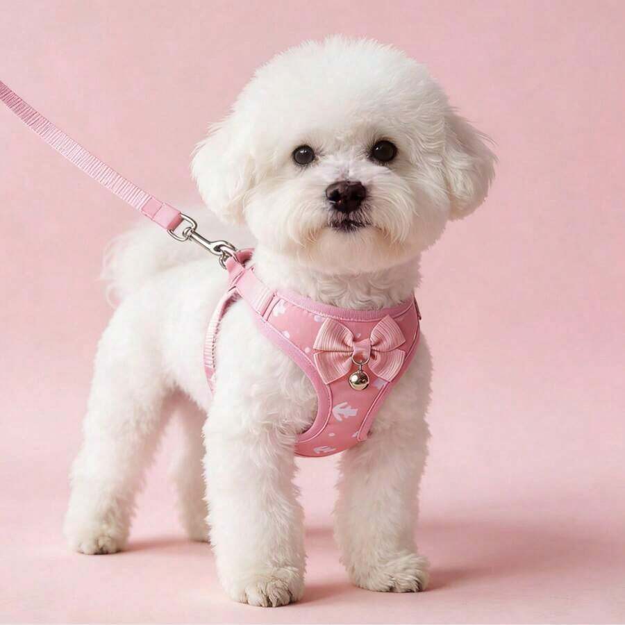 Pink Harness With Anchor Points, Suitable Kittens And Small Dogs. - Pink - View 1