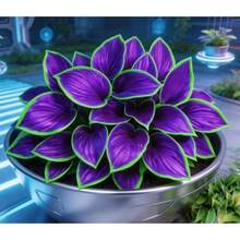 Relaxed And Beautiful, Stunning Garden: Hosta 110 - Default - View 3