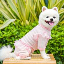 1件宠物蕾丝网纱连衣裙裤，轻盈透气，适合春夏穿着的犬猫服装 - 粉色 - 查看 6