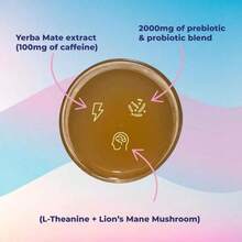 |   Yerba Mate Instant Tea Powder |   20, 24, Or 30 Servings |   Multiple Flavors Available - Đào Xoài - 20 phần ăn - Xem 3