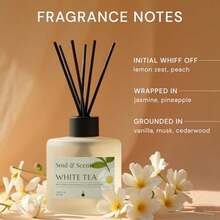 Reed Diffuser Set White Tea 7.43 oz Refillable Scented Oil with 6 Fiber Sticks Long-Lasting Home Fragrance and Air Freshener for Bedroom Bathroom Office Gift and Décor Piece - TÉ BLANCO - Ver 4